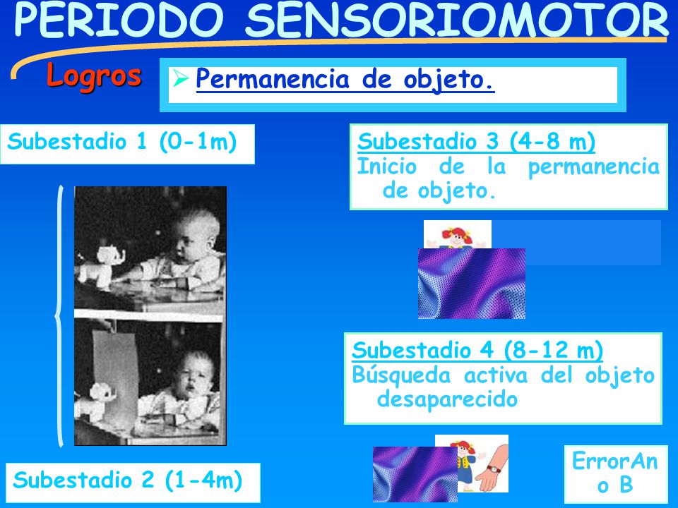 Permanencia de objeto. El desarrollo cognitivo y la intervenci n